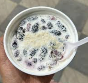 Shahdoot Malai Mulberry