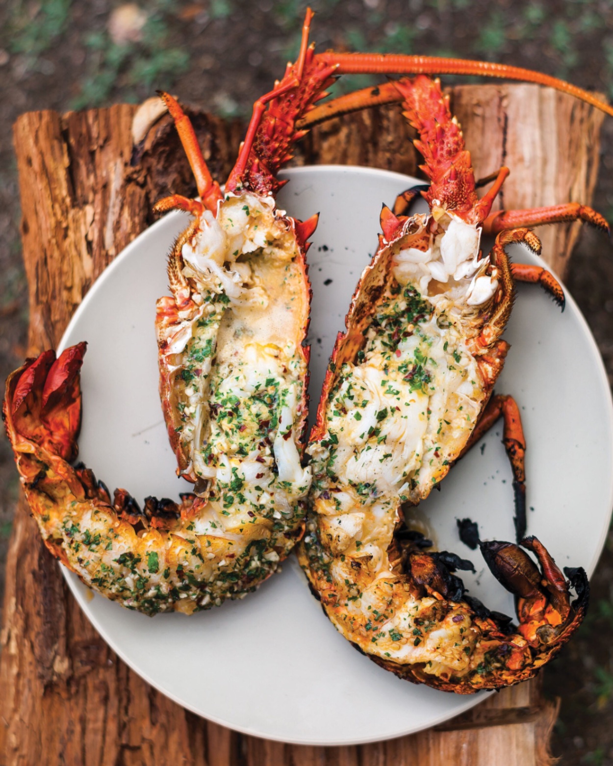 Grilled Lobster