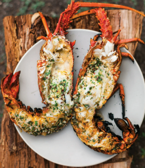 Lobster Grilled at Thalassa, Goa